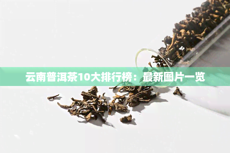 云南普洱茶10大排行榜：最新图片一览