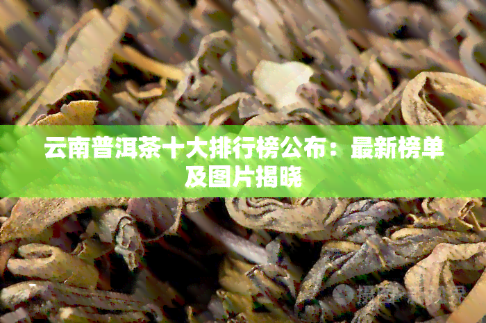 云南普洱茶十大排行榜公布：最新榜单及图片揭晓