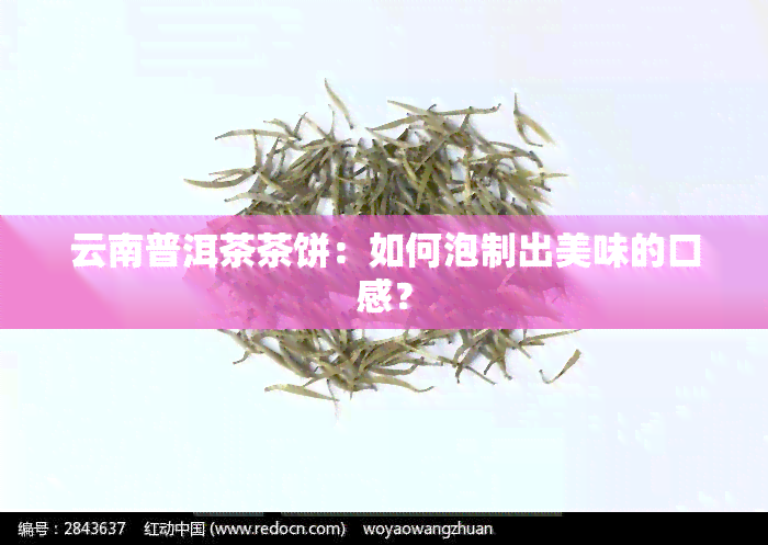 云南普洱茶茶饼：如何泡制出美味的口感？