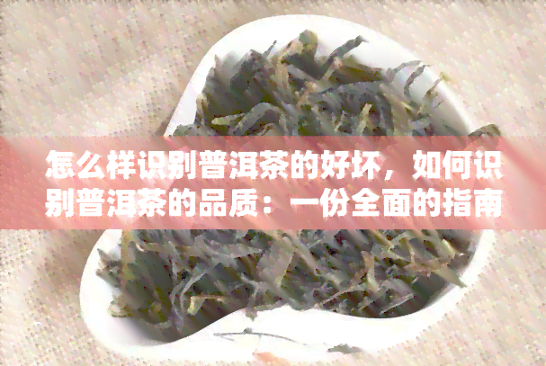 怎么样识别普洱茶的好坏，如何识别普洱茶的品质：一份全面的指南