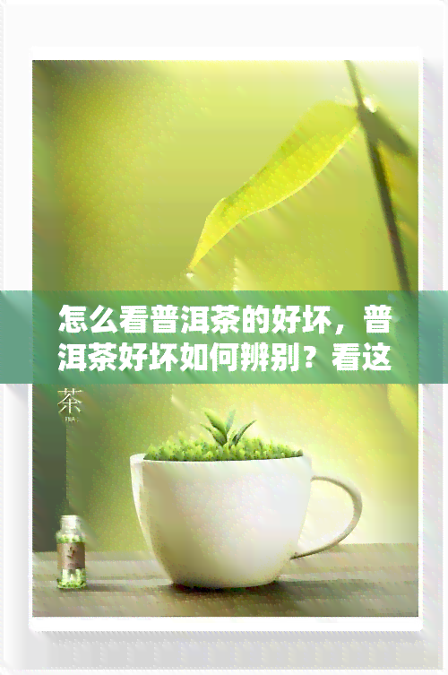 怎么看普洱茶的好坏，普洱茶好坏如何辨别？看这一篇就够了！