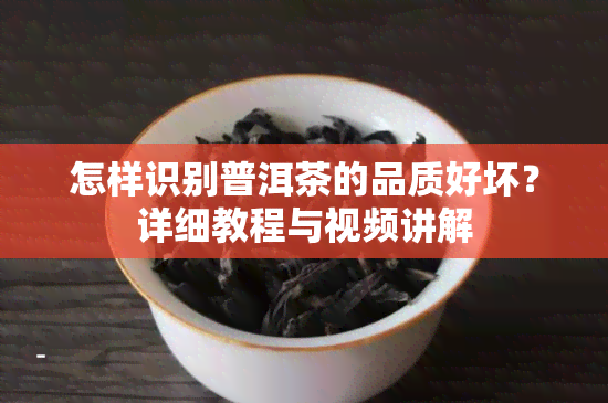 怎样识别普洱茶的品质好坏？详细教程与视频讲解