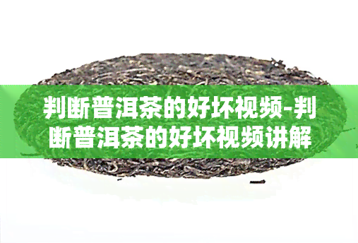 判断普洱茶的好坏视频-判断普洱茶的好坏视频讲解