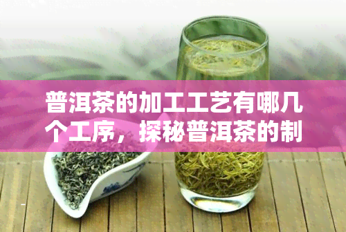 普洱茶的加工工艺有哪几个工序，探秘普洱茶的制作过程：揭秘其独特的加工工艺和工序