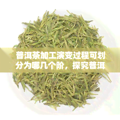 普洱茶加工演变过程可划分为哪几个阶，探究普洱茶加工的演变历程：划分出的几个关键阶