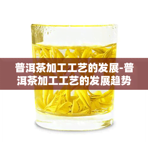 普洱茶加工工艺的发展-普洱茶加工工艺的发展趋势