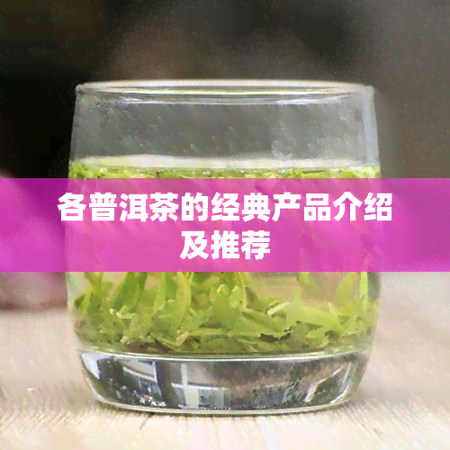 各普洱茶的经典产品介绍及推荐