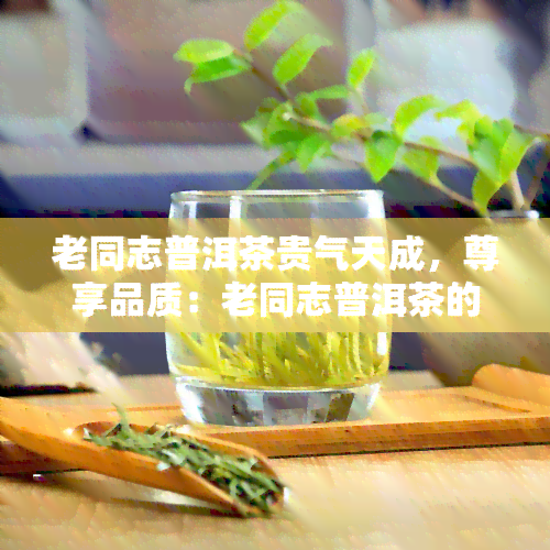 老同志普洱茶贵气天成，尊享品质：老同志普洱茶的贵气天成