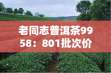 老同志普洱茶9958：801批次价格公布