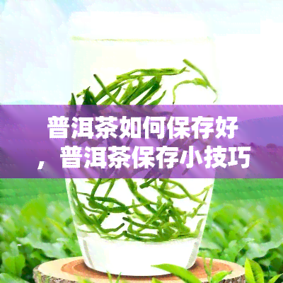 普洱茶如何保存好，普洱茶保存小技巧：让你的茶叶保持状态！