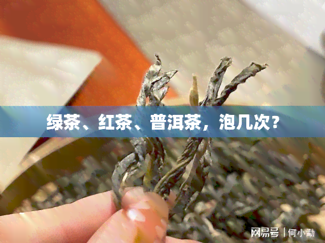 绿茶、红茶、普洱茶，泡几次？