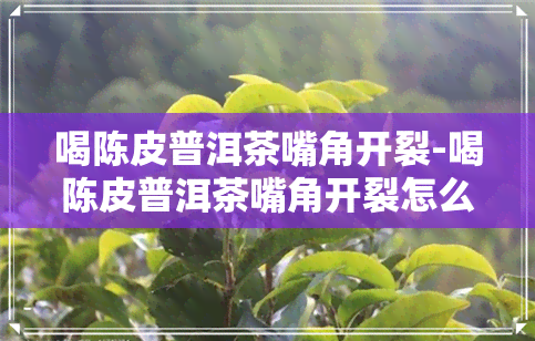 喝陈皮普洱茶嘴角开裂-喝陈皮普洱茶嘴角开裂怎么回事