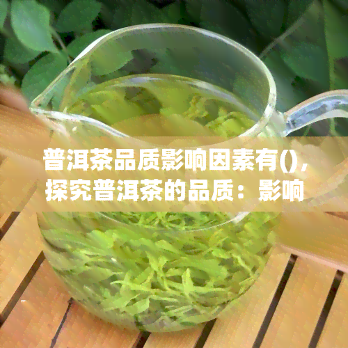 普洱茶品质影响因素有()，探究普洱茶的品质：影响因素解析