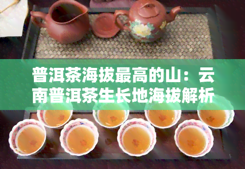 普洱茶海拔更高的山：云南普洱茶生长地海拔解析