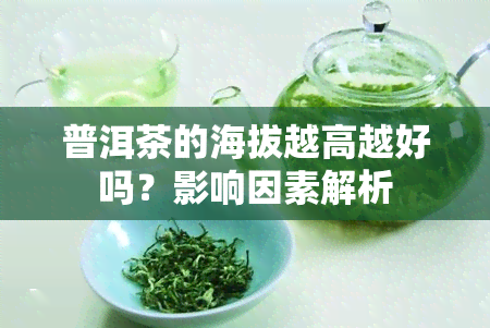 普洱茶的海拔越高越好吗？影响因素解析