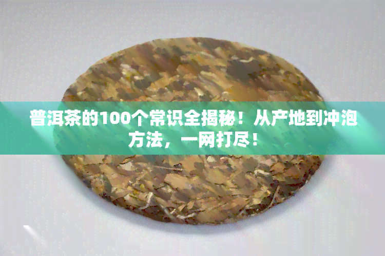 普洱茶的100个常识全揭秘！从产地到冲泡方法，一网打尽！