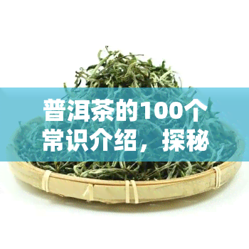 普洱茶的100个常识介绍，探秘普洱茶的世界：100个你不可不知的常识介绍