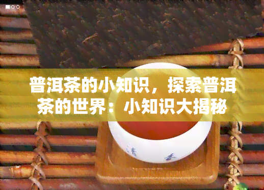 普洱茶的小知识，探索普洱茶的世界：小知识大揭秘