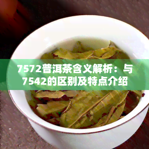 7572普洱茶含义解析：与7542的区别及特点介绍