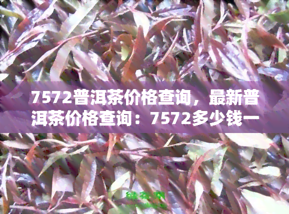 7572普洱茶价格查询，最新普洱茶价格查询：7572多少钱一斤？