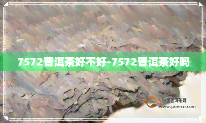 7572普洱茶好不好-7572普洱茶好吗