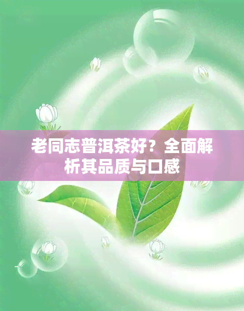 老同志普洱茶好？全面解析其品质与口感