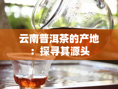 云南普洱茶的产地：探寻其源头