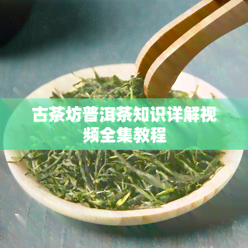 古茶坊普洱茶知识详解视频全集教程