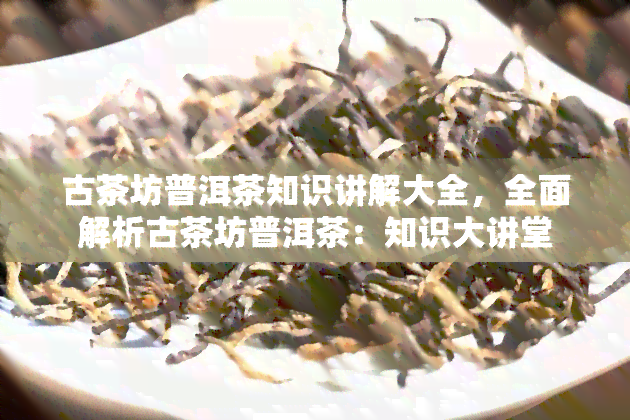 古茶坊普洱茶知识讲解大全，全面解析古茶坊普洱茶：知识大讲堂