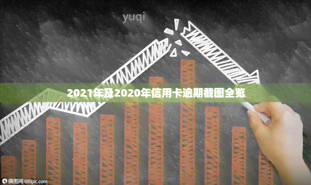 2021年及2020年信用卡逾期截图全览