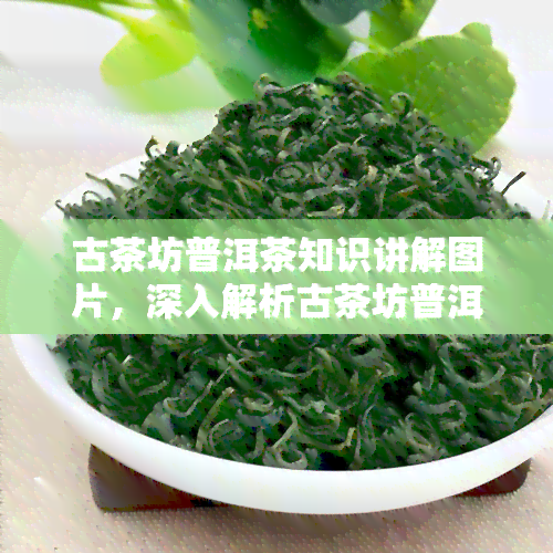 古茶坊普洱茶知识讲解图片，深入解析古茶坊普洱茶：知识与品鉴的视觉宴！