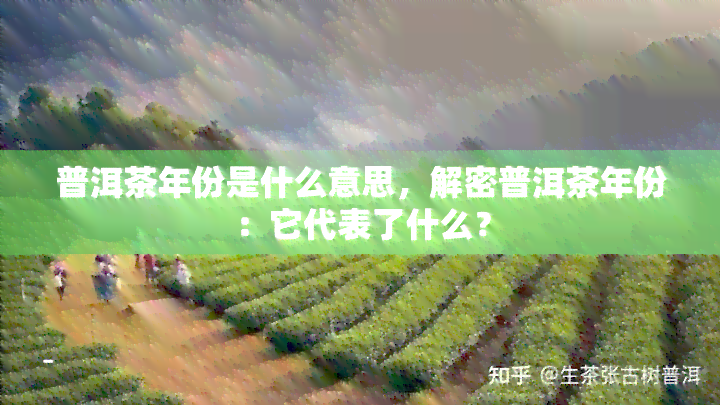 普洱茶年份是什么意思，解密普洱茶年份：它代表了什么？