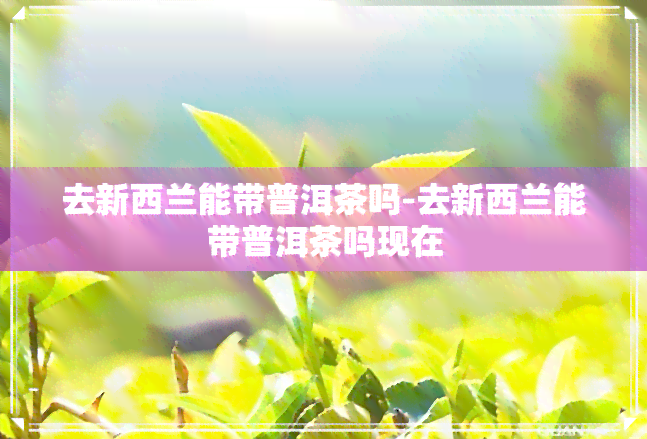 去新西兰能带普洱茶吗-去新西兰能带普洱茶吗现在