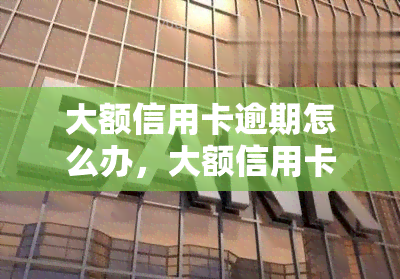 大额信用卡逾期怎么办，大额信用卡逾期处理攻略