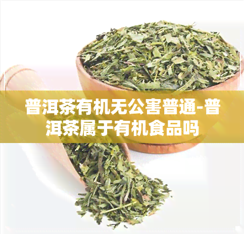 普洱茶有机无公害普通-普洱茶属于有机食品吗