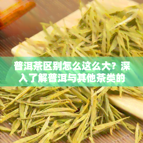 普洱茶区别怎么这么大？深入了解普洱与其他茶类的区别