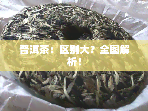 普洱茶：区别大？全图解析！