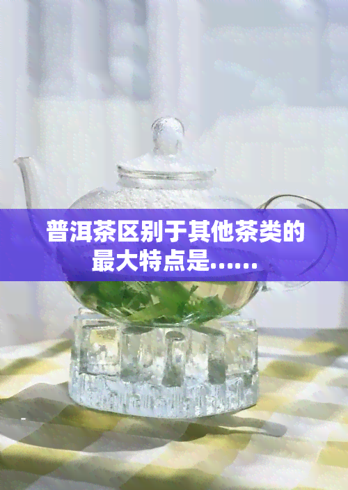 普洱茶区别于其他茶类的更大特点是……