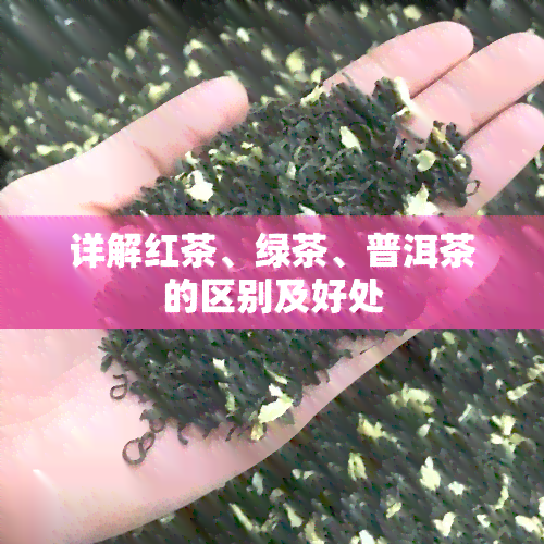 详解红茶、绿茶、普洱茶的区别及好处