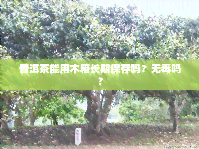 普洱茶能用木箱长期保存吗？无吗？