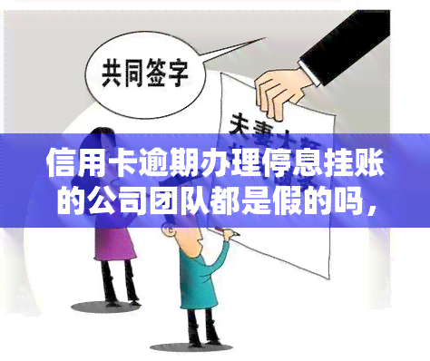 信用卡逾期办理停息挂账的公司团队都是假的吗，揭示真相：信用卡逾期办理停息挂账的公司团队是否可信？