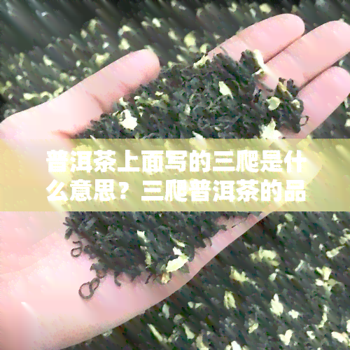 普洱茶上面写的三爬是什么意思？三爬普洱茶的品质如何？