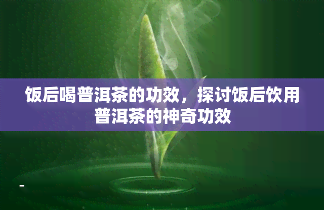 饭后喝普洱茶的功效，探讨饭后饮用普洱茶的神奇功效