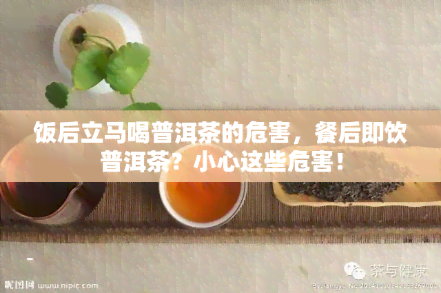 饭后立马喝普洱茶的危害，餐后即饮普洱茶？小心这些危害！