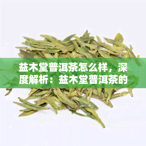 益木堂普洱茶怎么样，深度解析：益木堂普洱茶的品质与口感如何？