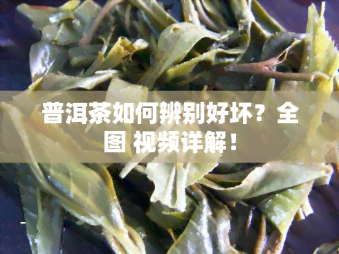 普洱茶如何辨别好坏？全图 视频详解！