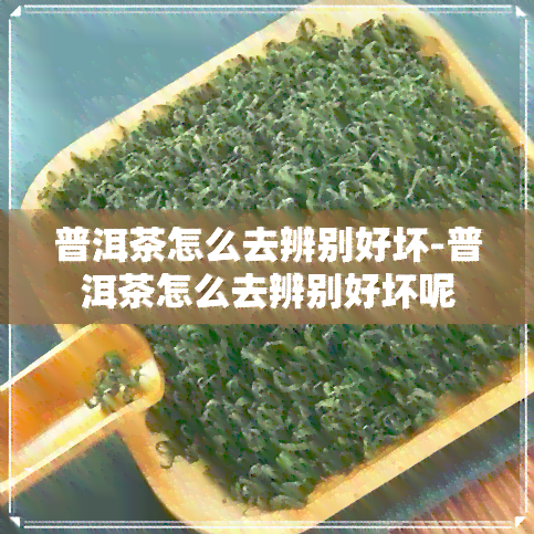 普洱茶怎么去辨别好坏-普洱茶怎么去辨别好坏呢