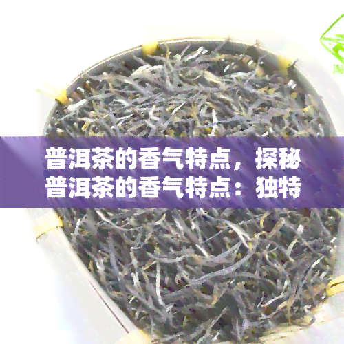 普洱茶的香气特点，探秘普洱茶的香气特点：独特的陈香与果香交织