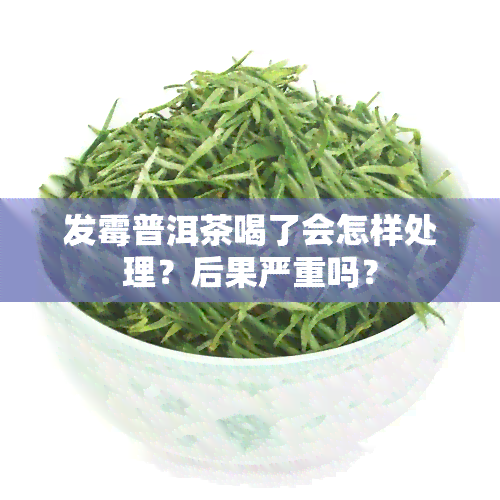 发霉普洱茶喝了会怎样处理？后果严重吗？