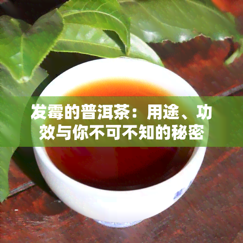 发霉的普洱茶：用途、功效与你不可不知的秘密